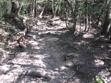 20140922hike (214)